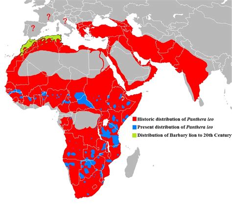 barbary lion map.